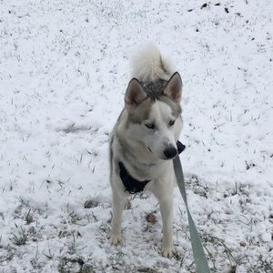 Meet your Posher, Alanna